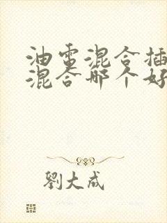 油电混合插电式混合哪个好