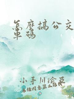 怎么搞公交车乘车码