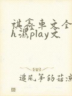 祺鑫车文全肉高h湿play文