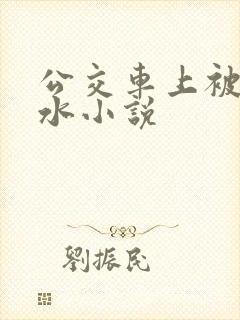 公交车上被蹭出水小说