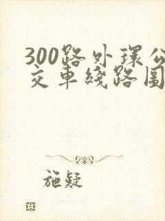 300路外环公交车线路图
