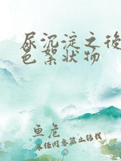 尿沉淀之后有白色絮状物