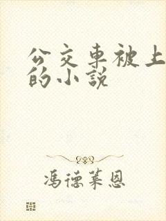 公交车被上高潮的小说