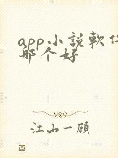 app小说软件哪个好