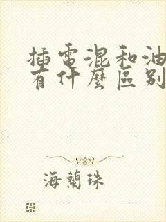 插电混和油电混有什么区别