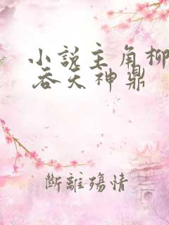 小说主角柳无邪 吞天神鼎