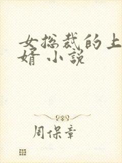 女总裁的上门女婿 小说
