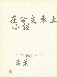 在公交车上被h 小说