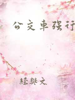 公交车强行进入