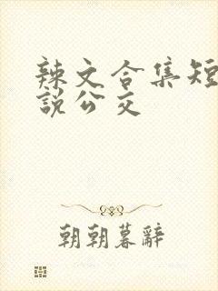 辣文合集短篇小说公交