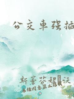 公交车强插小说