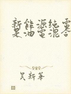 新能源纯电好还是油电混合好
