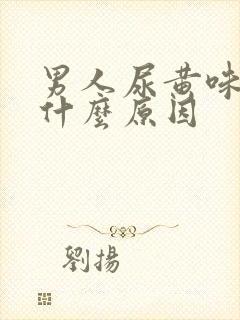 男人尿黄味重是什么原因