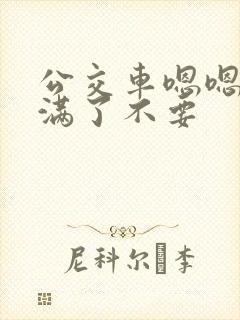 公交车嗯嗯啊啊满了不要