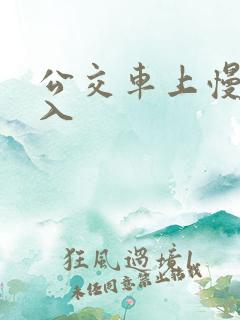 公交车上慢慢进入