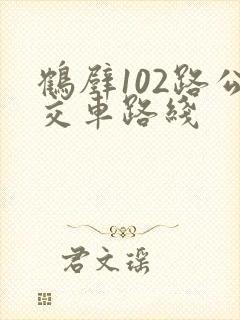 鹤壁102路公交车路线