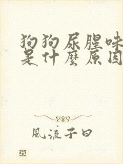 狗狗尿腥味很重是什么原因