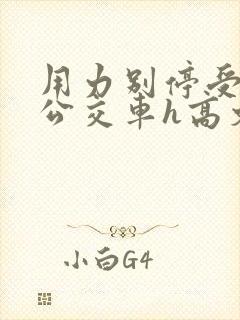 用力别停受不了公交车h高文