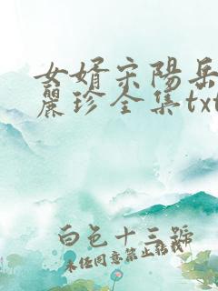 女婿宋阳岳母陈丽珍全集txt
