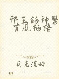邪王的神医宠妃 有凤栖梧
