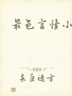 最色言情小说