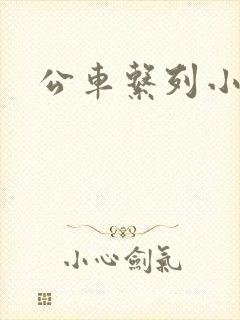 公车系列小说h