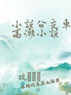 小说公交车被上高潮小说