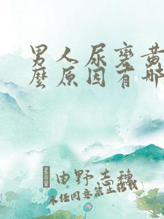 男人尿变黄是什么原因有哪些