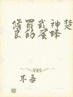 修罗武神楚枫善良的蜜蜂