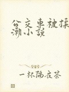 公交车被揉到高潮小说