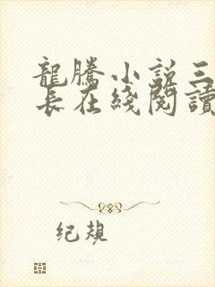 龙腾小说三宝局长在线阅读