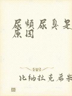 尿频尿臭是什么原因