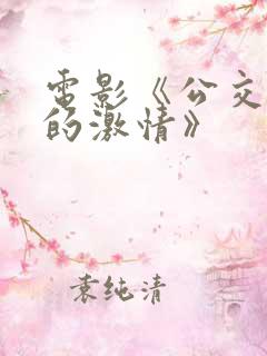 电影《公交车上的激情》