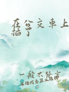 在公交车上被人插了