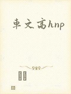 车文高hnp