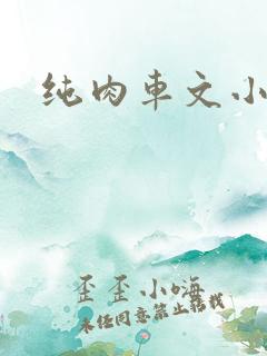 纯肉车文小说