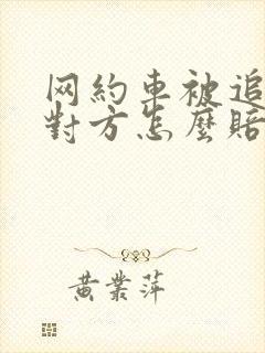 网约车被追尾了对方怎么赔偿误工费
