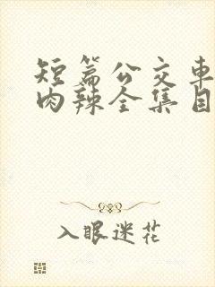 短篇公交车高h肉辣全集目录