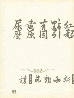 尿黄有点红是什么原因引起的女