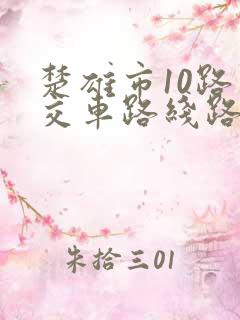 楚雄市10路公交车路线路