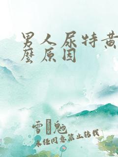 男人尿特黄是什么原因