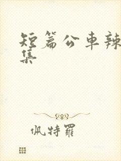 短篇公车辣文合集