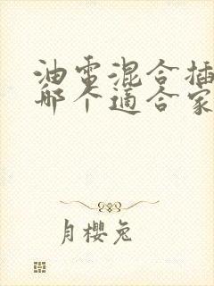 油电混合插电混哪个适合家用