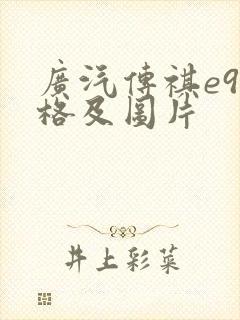 广汽传祺e9价格及图片