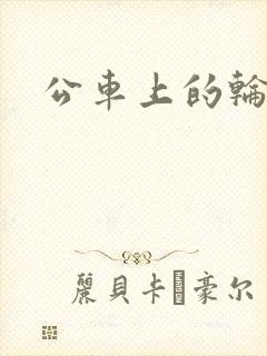 公车上的轮j