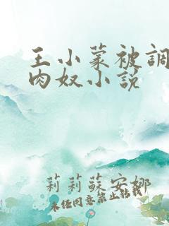 王小蒙被调教成肉奴小说