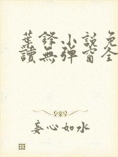叶锋小说免费阅读无弹窗全文