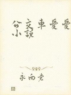 公交车爱爱口述小说