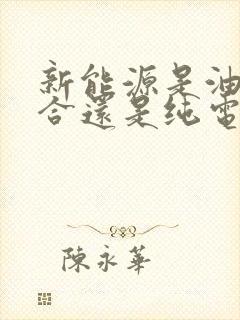 新能源是油电混合还是纯电