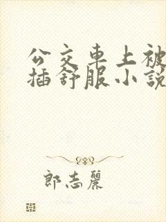 公交车上被摸被插舒服小说